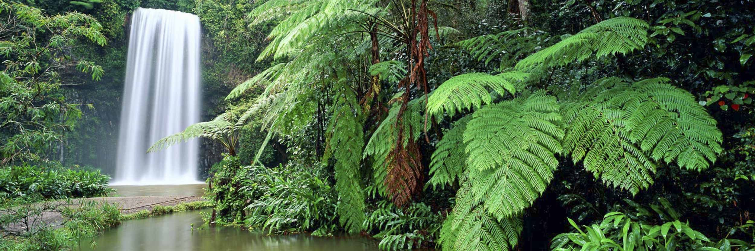 Millaa Millaa Falls, QLD