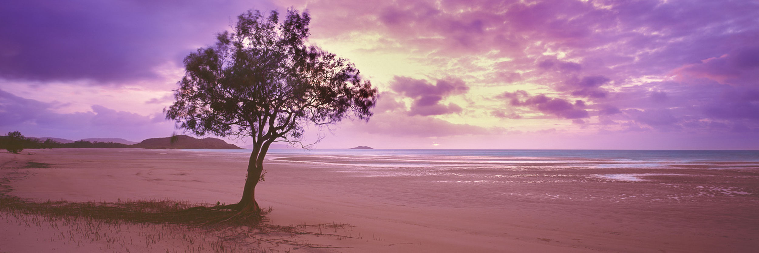 Frangipani Beach, Top Of Cape York, QLD