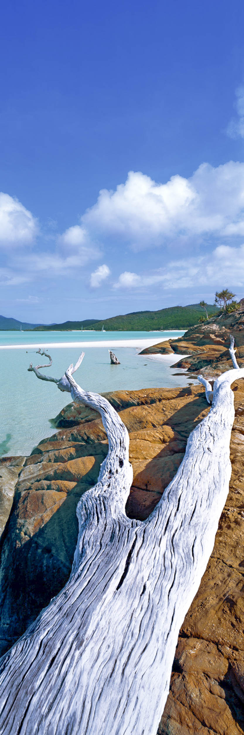 Transient Beauty, QLD