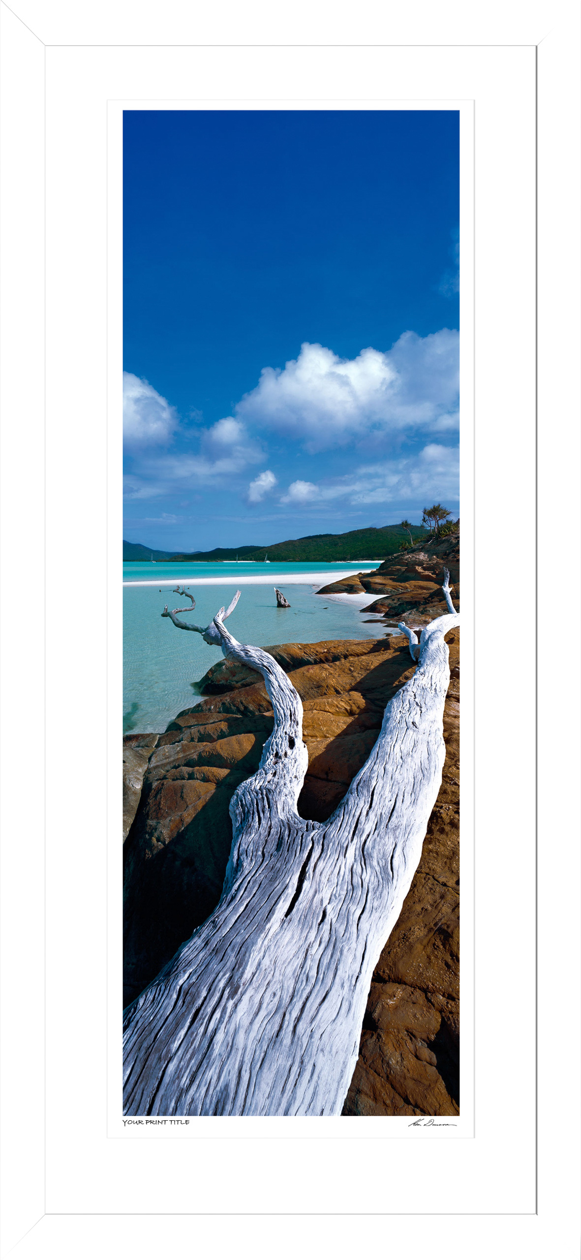 50inch Framed Transient Beauty. Registration Number 65/300