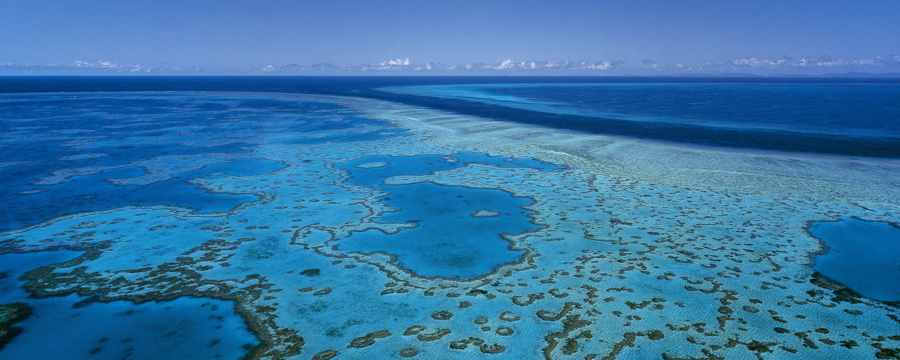 Heart Reef, Qld