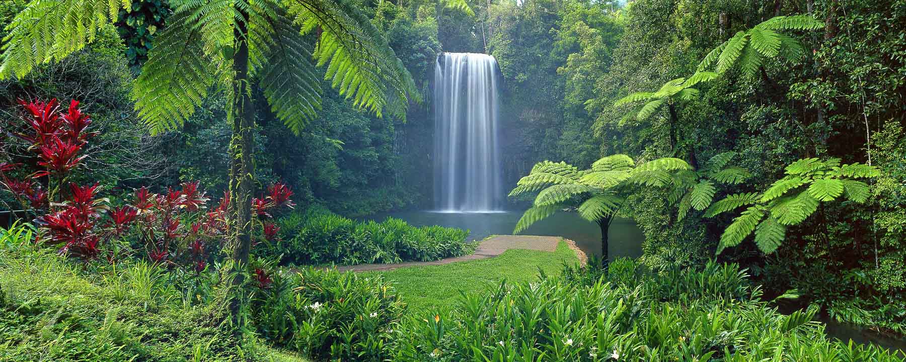 Millaa Millaa Falls, Qld, Australia