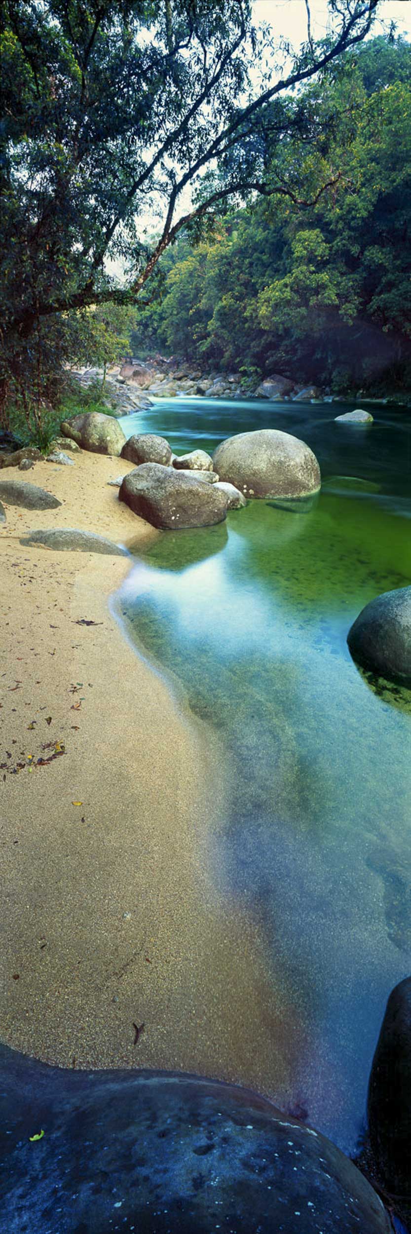 Mossman Mystique, QLD