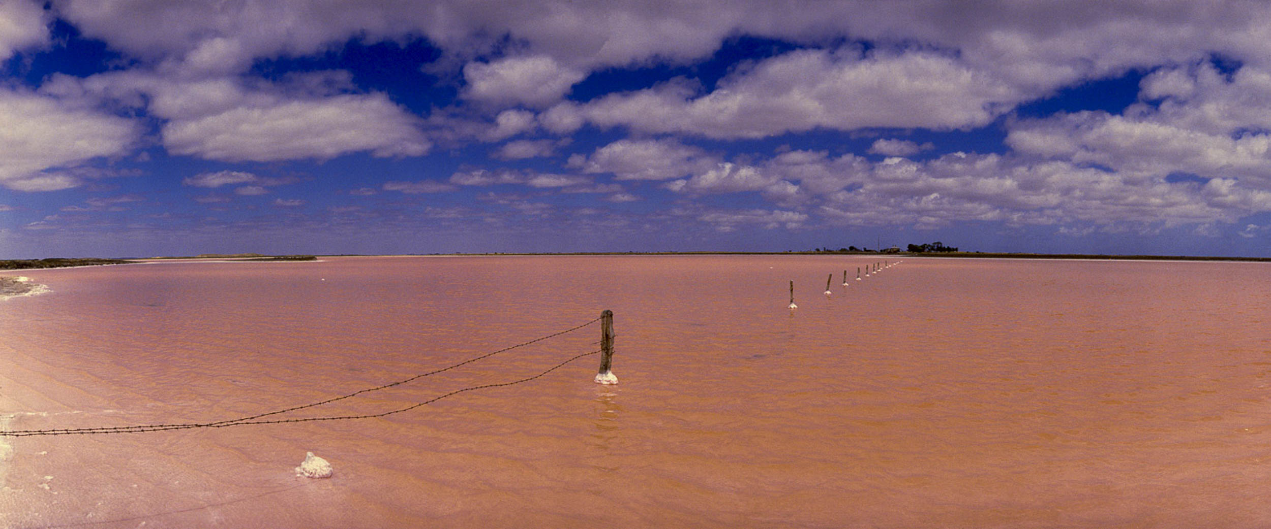 Pink Lake, Tailem Bend, SA
