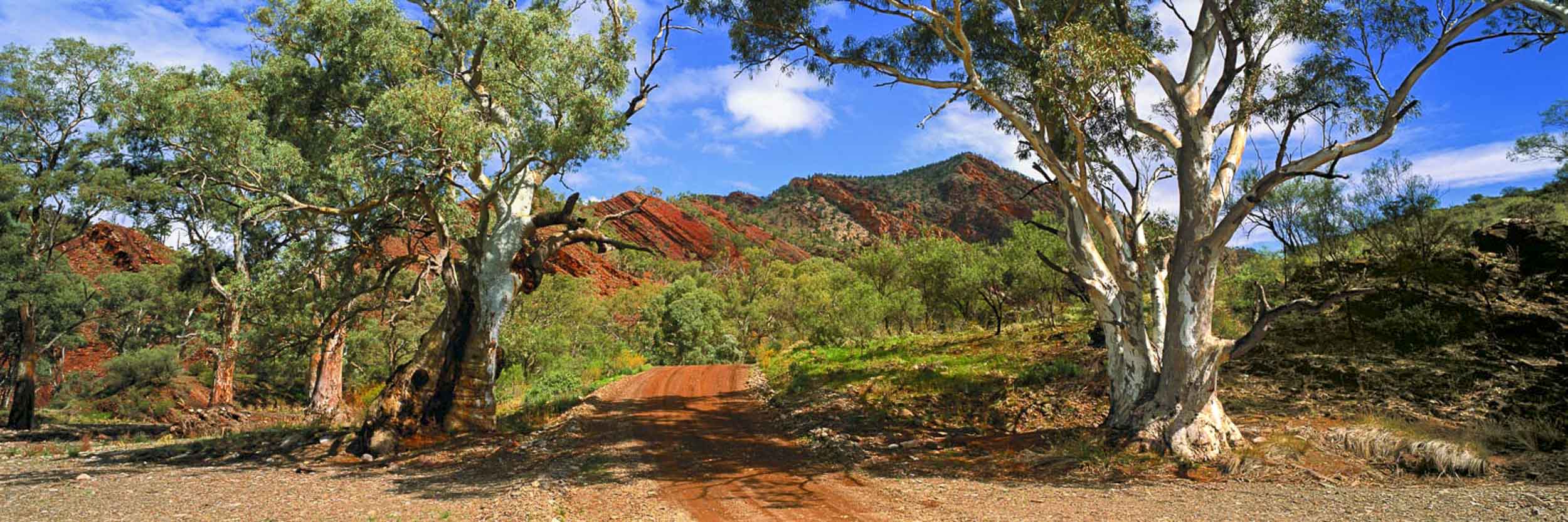 Brachina Gorge, Flinders Ranges, SA