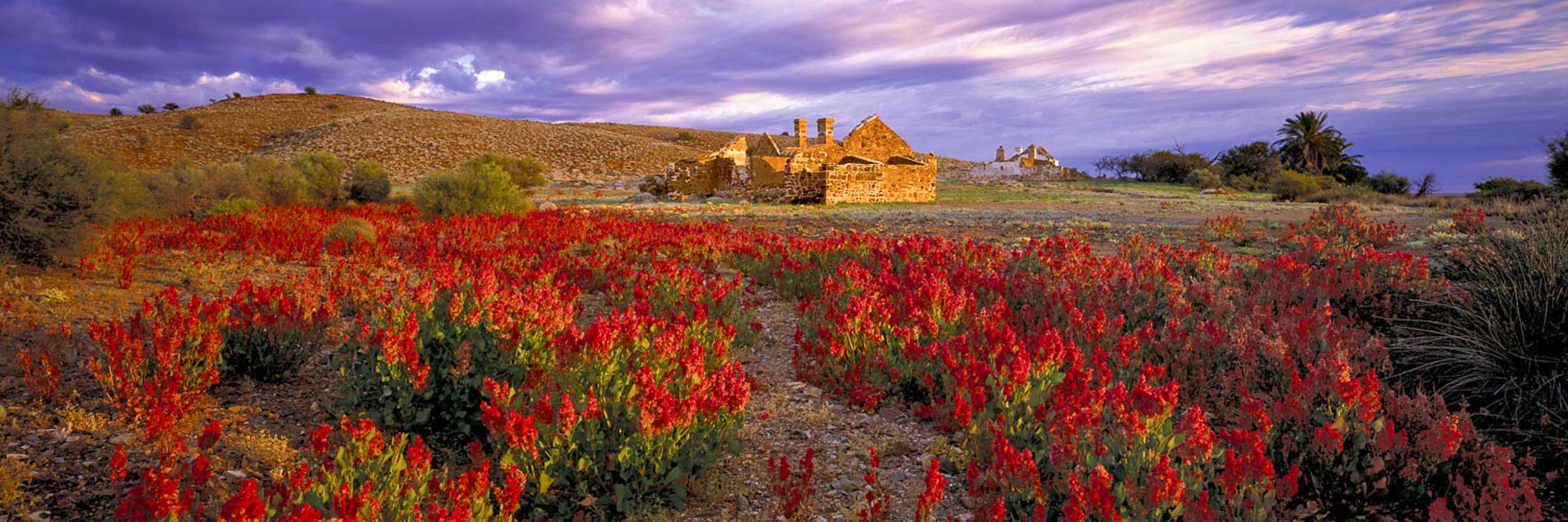 Peake Ruins, Oodnadatta, SA