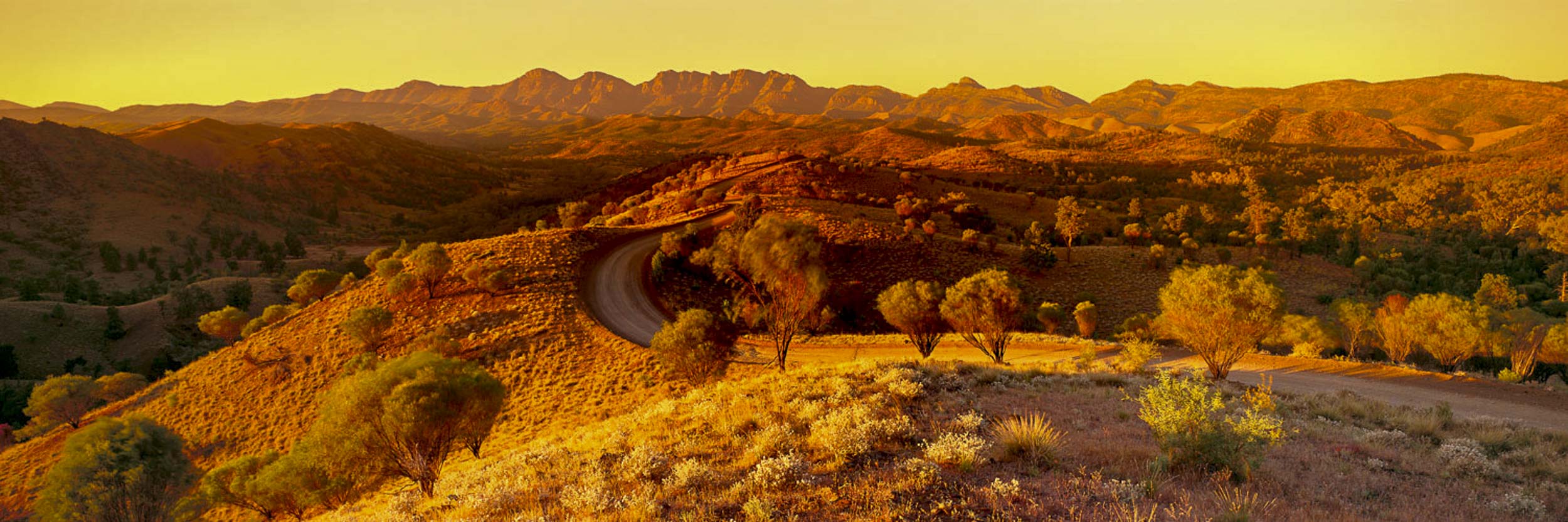 Sunburnt Country, Bunyeroo Valley, SA