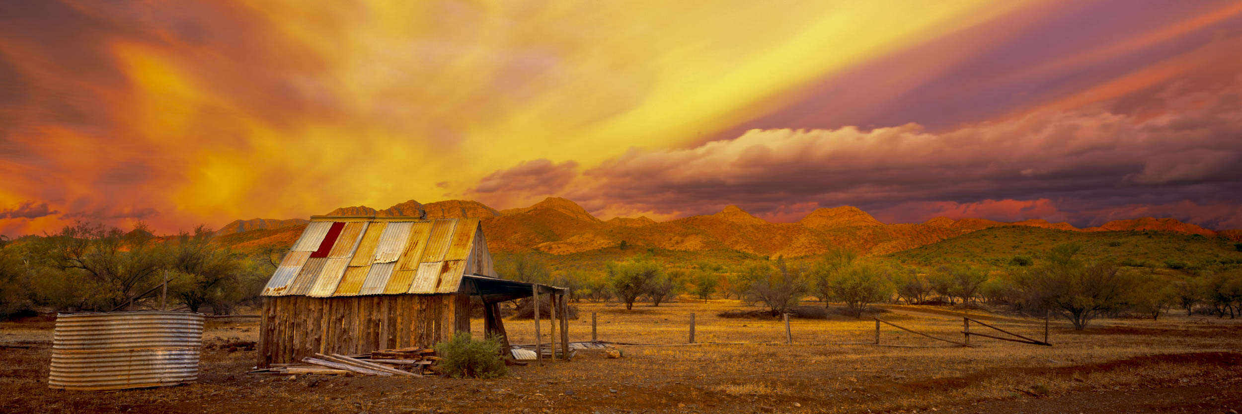 Still Standing, Flinders Ranges, SA