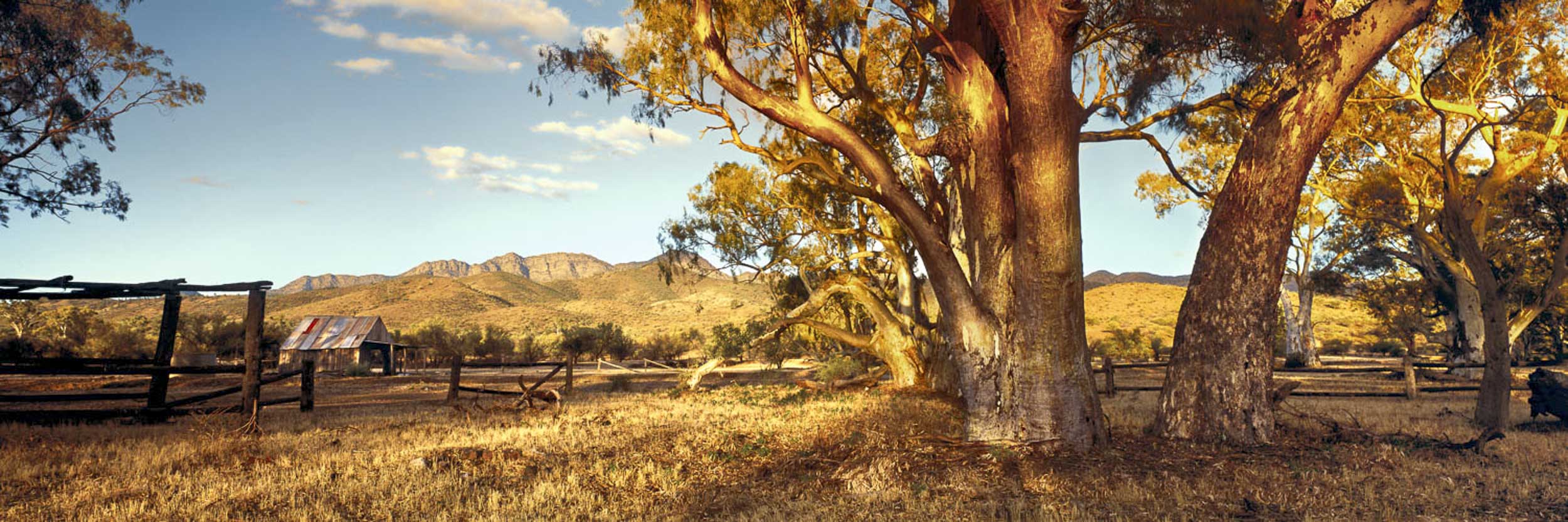 Flinders Ranges, SA