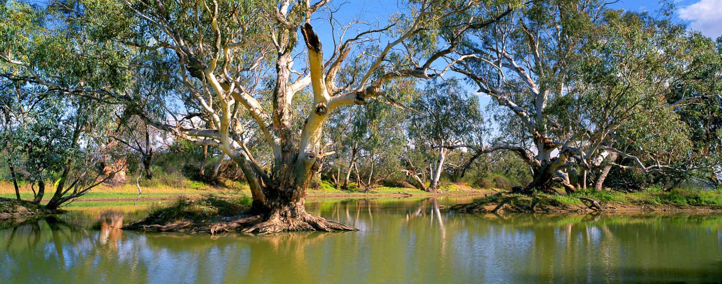 Cooper Creek, South Australia
