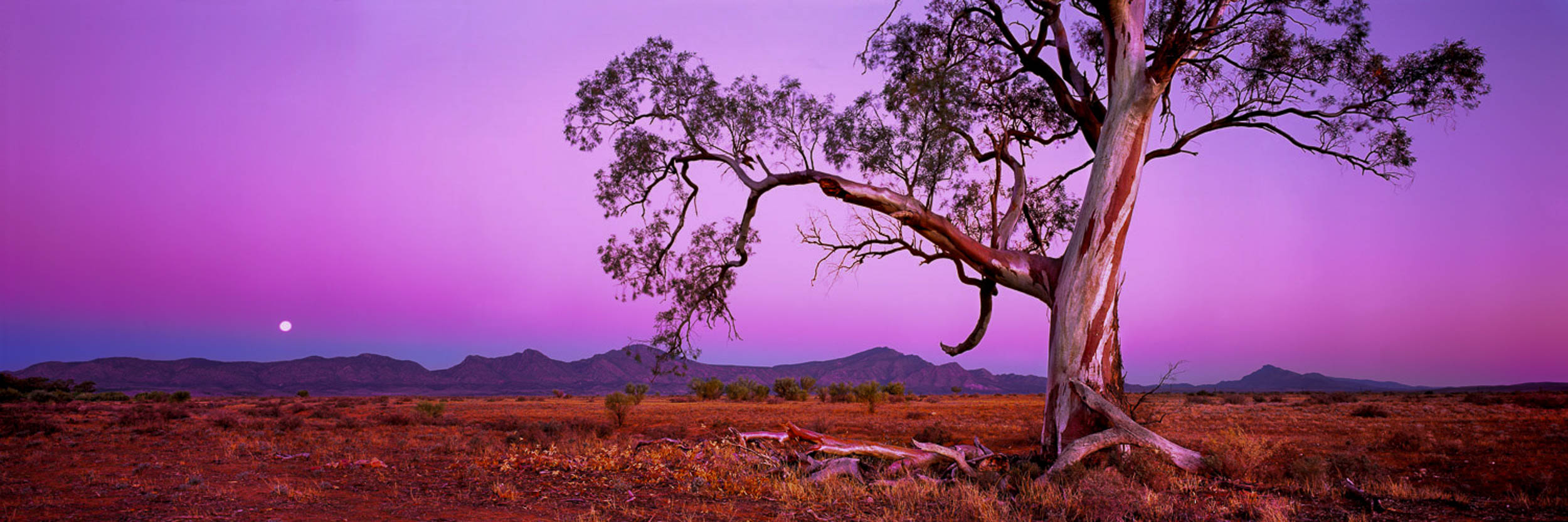 Flinders Twilight, SA