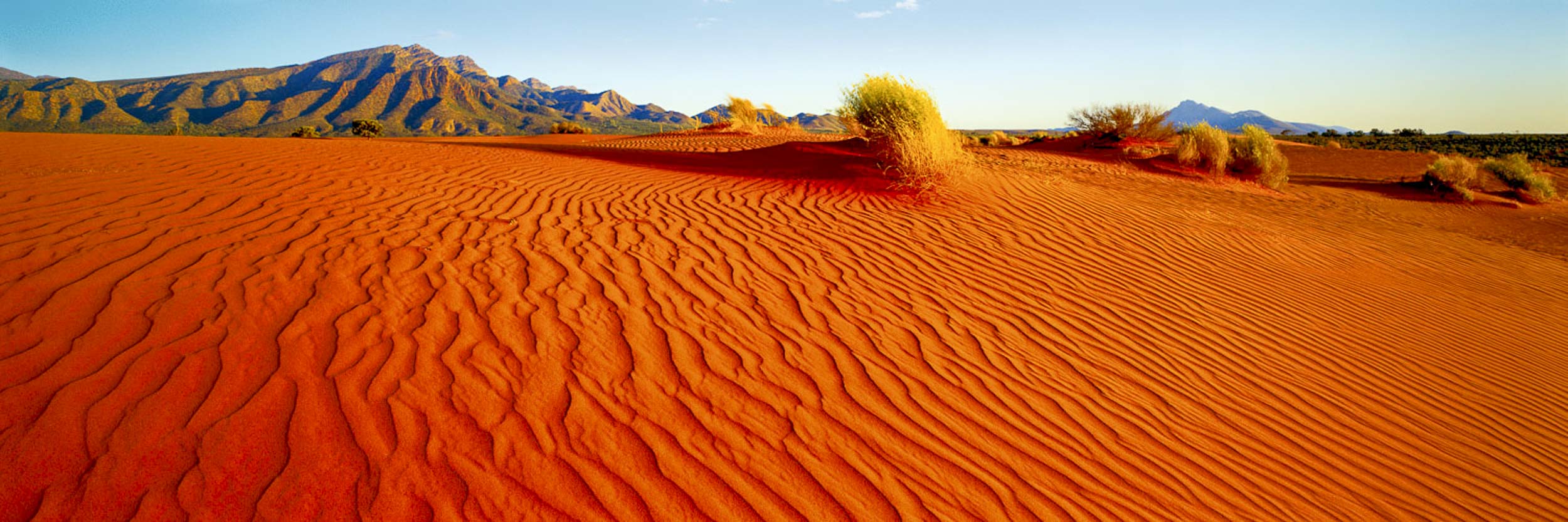 Winds of Time, Flinders Ranges, SA