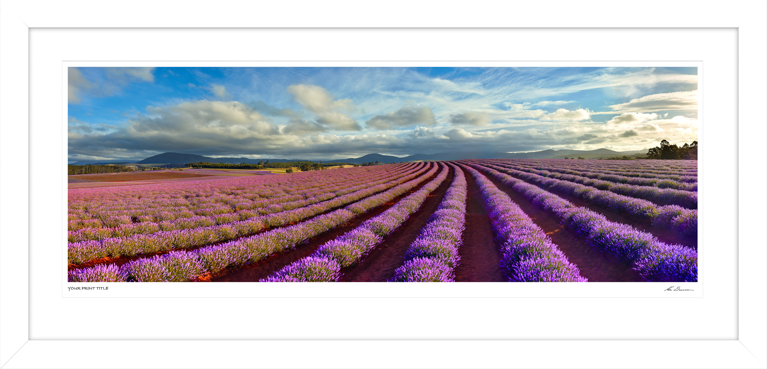 60inch Framed Field of Dreams. Registration Number 6/300