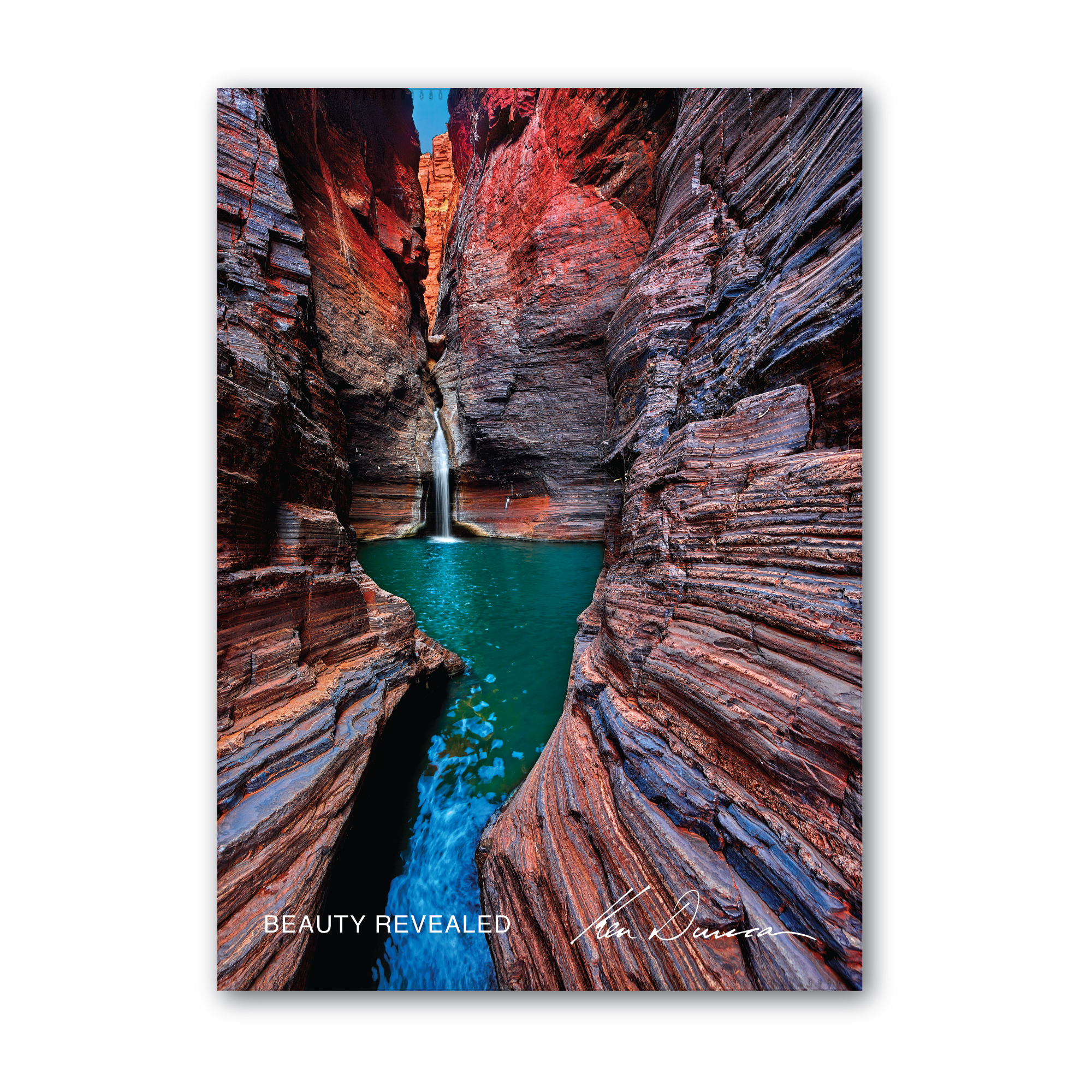 Beauty Revealed Tea Towel