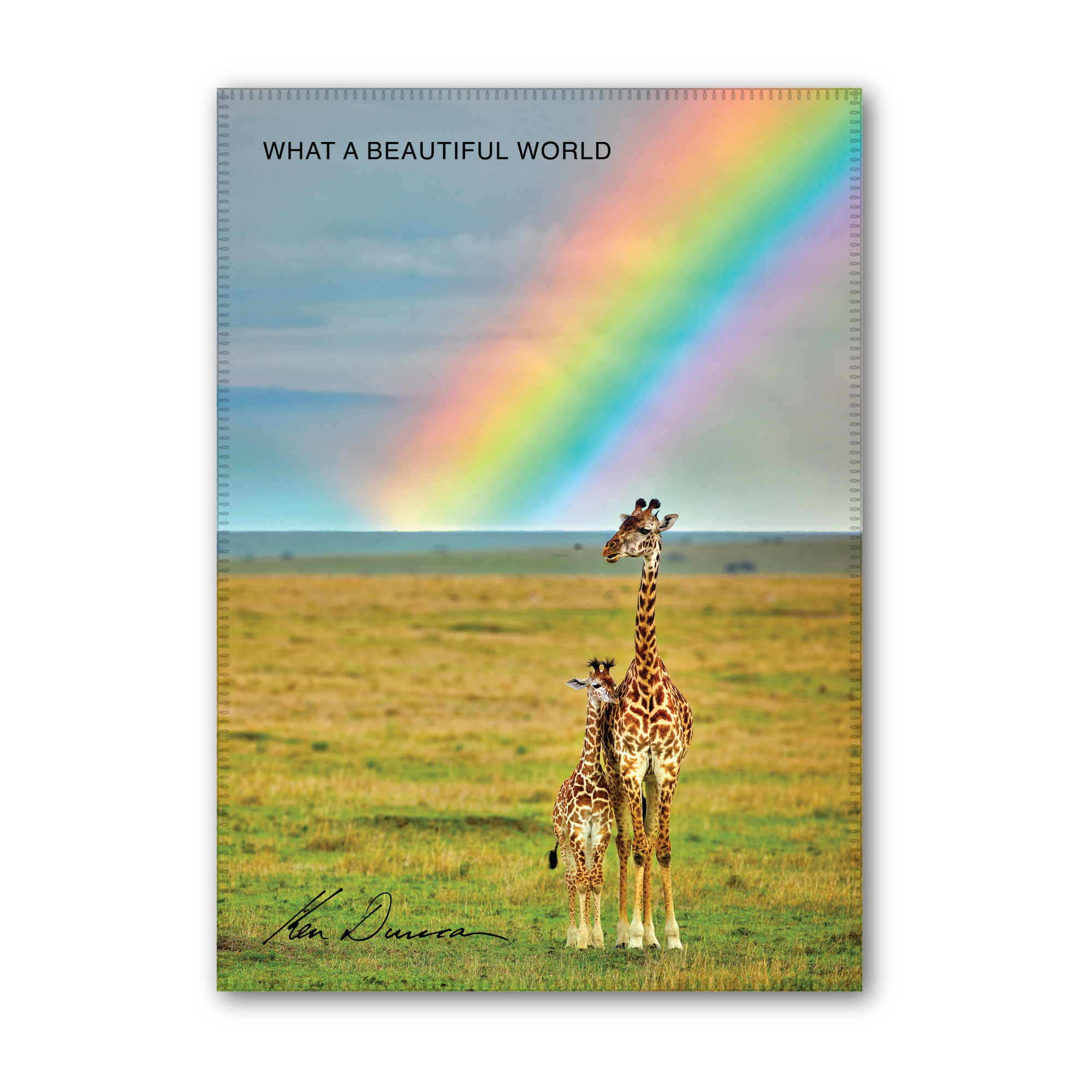 Did you know that a mouse pad actually increases the accuracy of your mouse – and keeps it clean? It’s true. But it can also brighten...