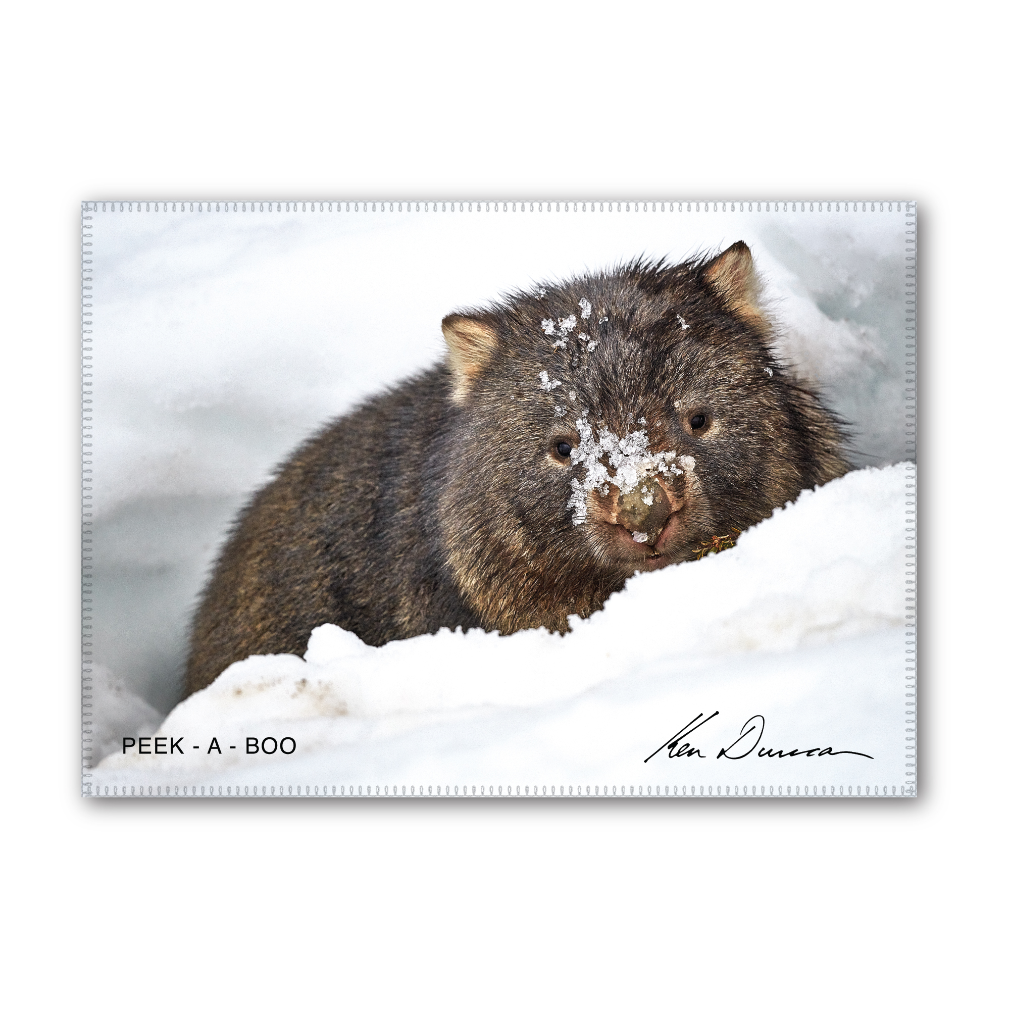 Peek-a-Boo Tea Towel