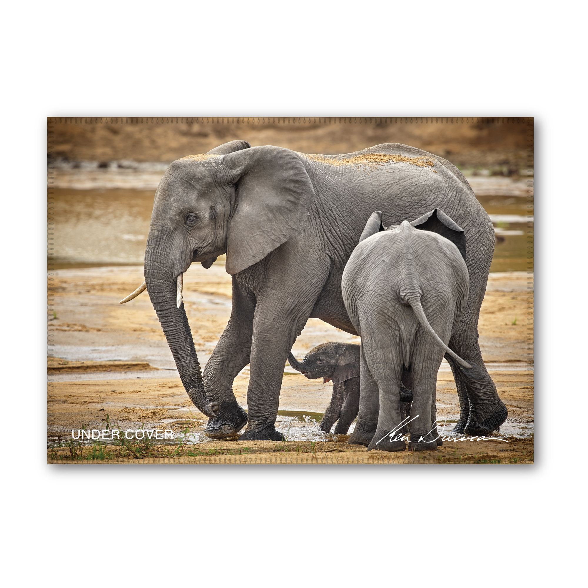 Under Cover Tea Towel