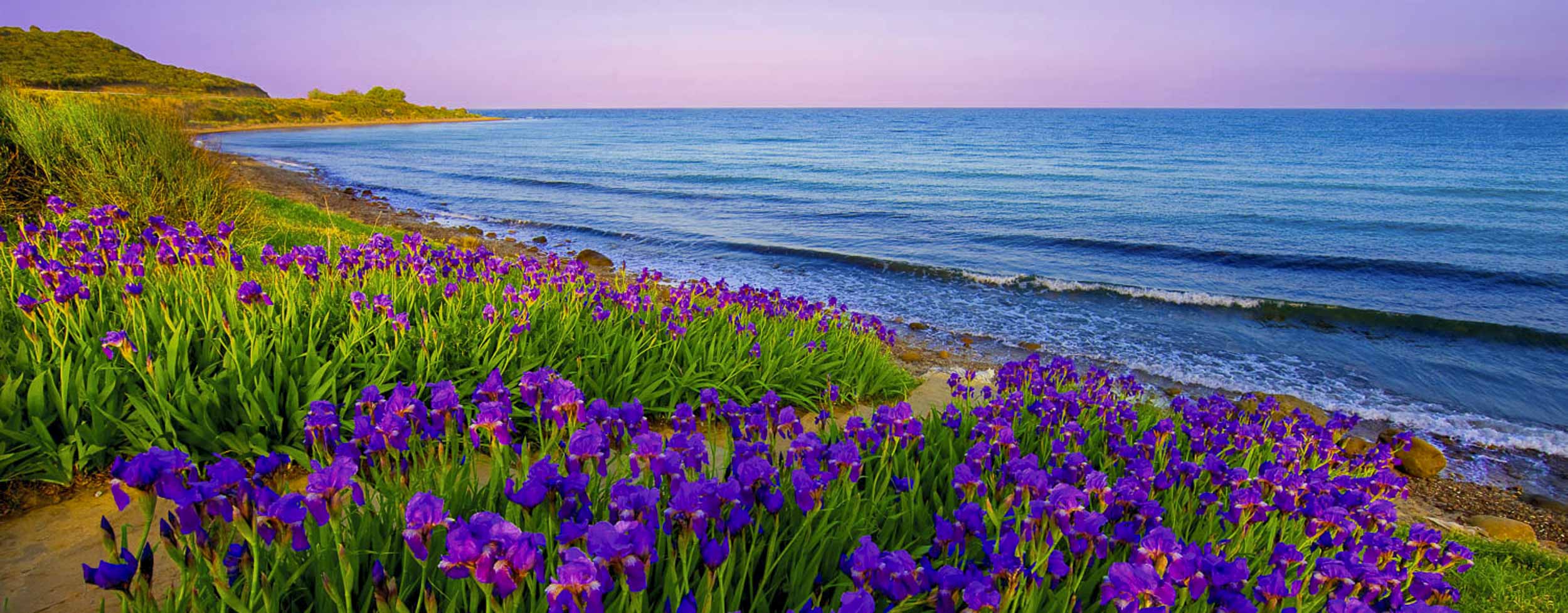 Lest We Forget, Gallipoli, Turkey