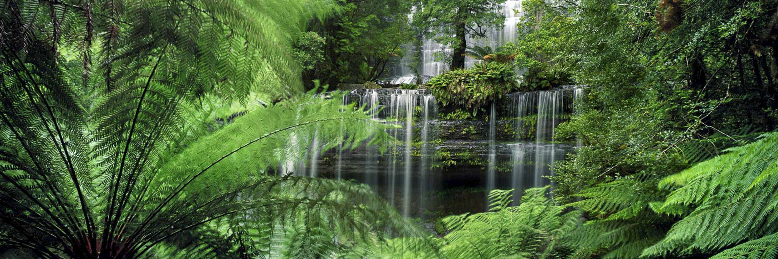 Mount Field Nat Park, TAS