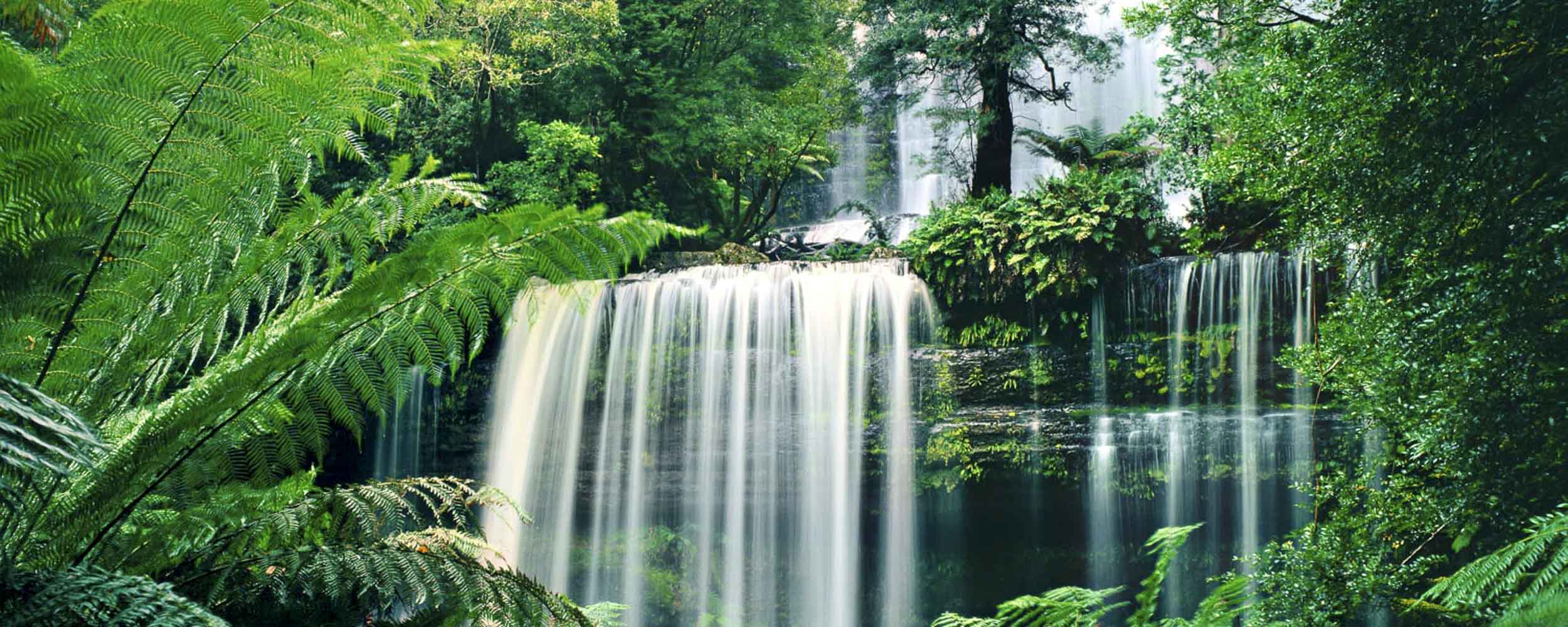 Gift of Life, Russell Falls, Australia