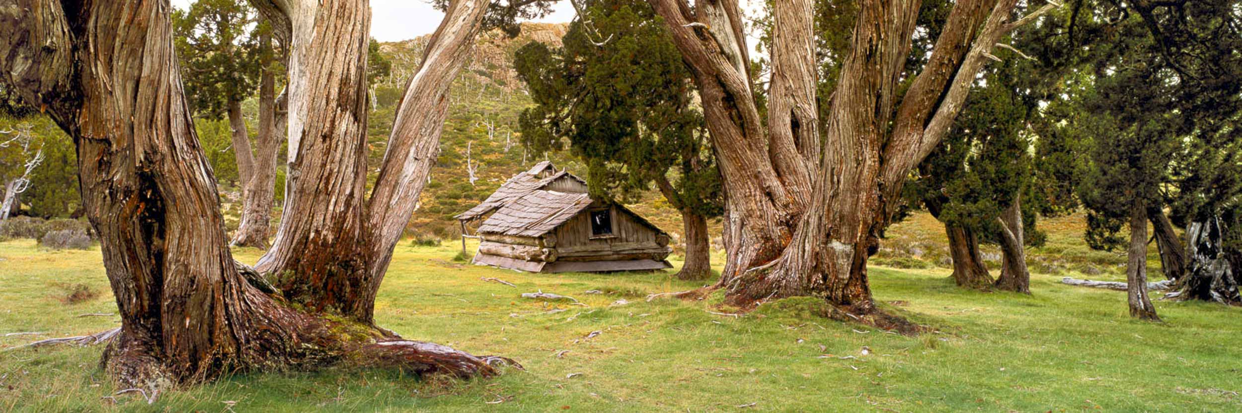 Dixons Kingdom Hut, Tas