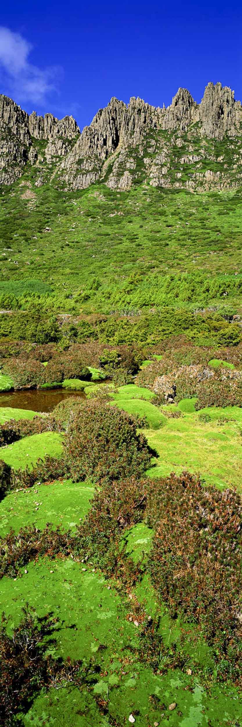 Walk Softly, Cradle Mountain, TAS