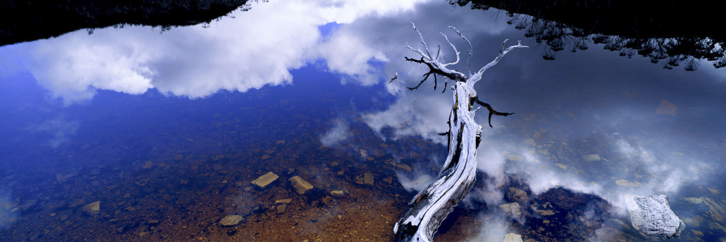 Reflections, Wombat Tarn, Tas