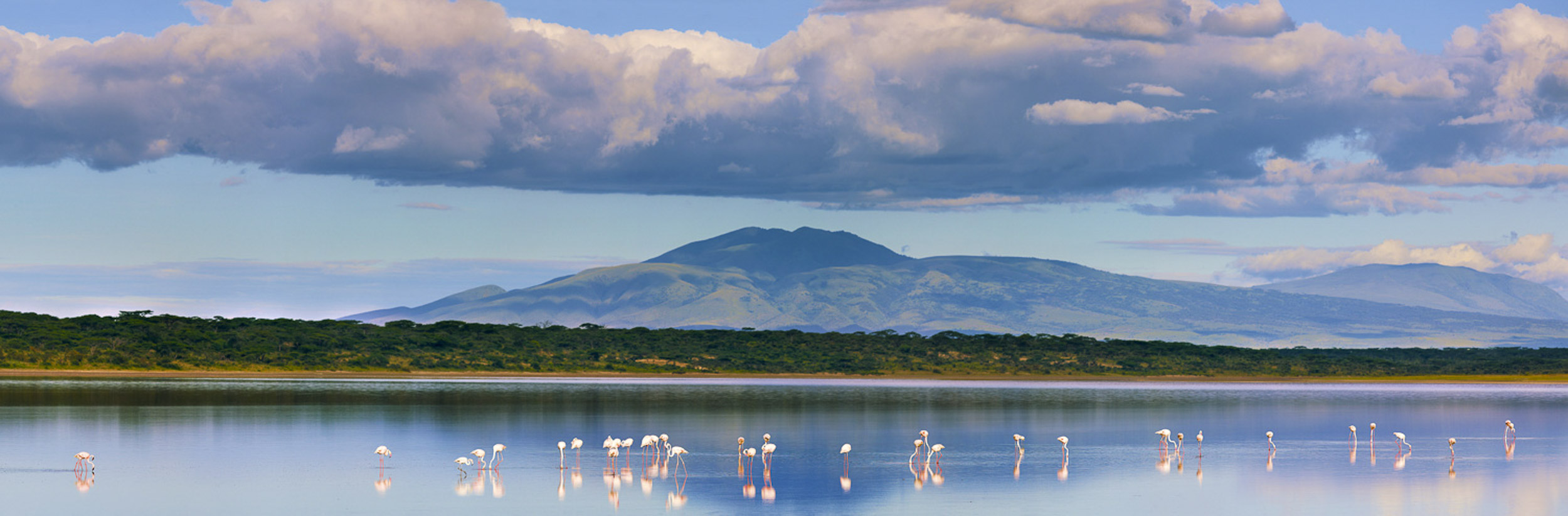 Flamingo Reflections, Tanzania
