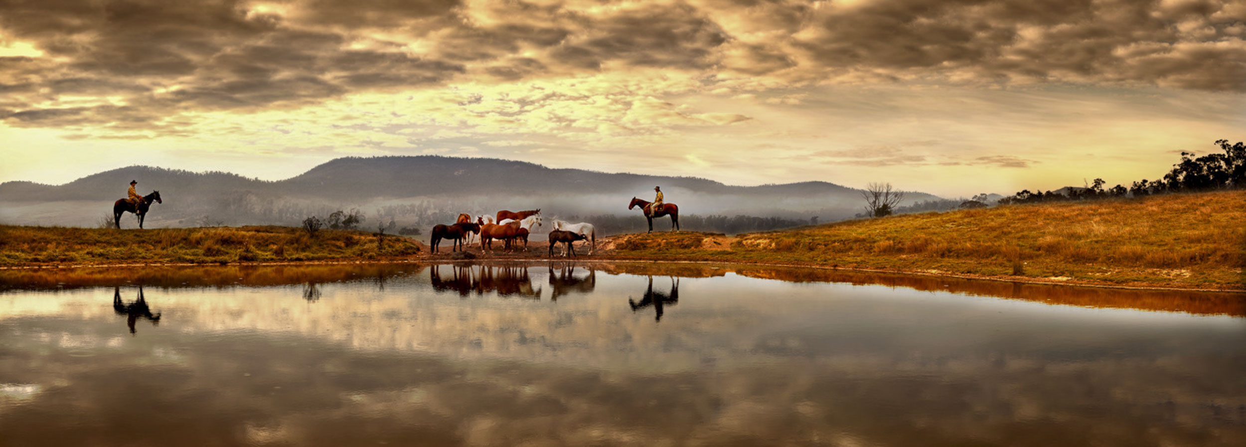 Brumby Dawn, Benambra, VIC