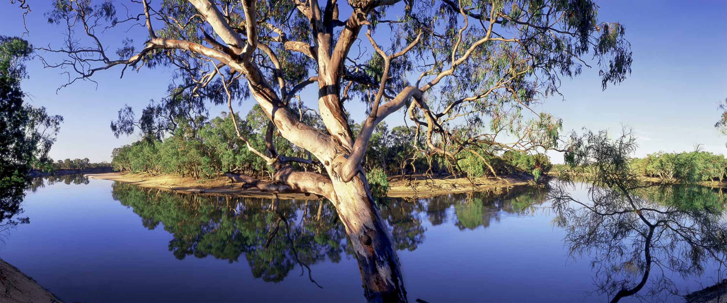 River Reflections, VIC