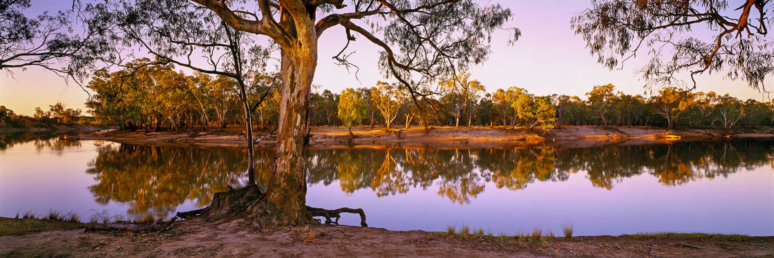 Murray River Mystique