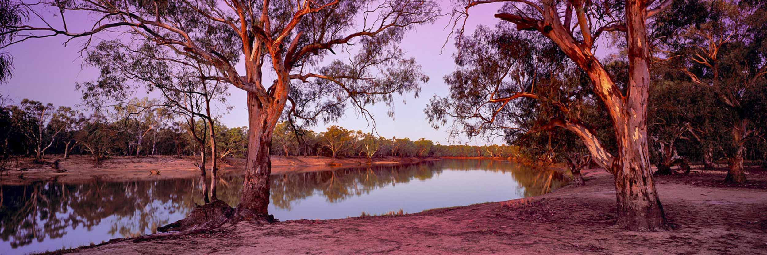 The Murray River, VIC