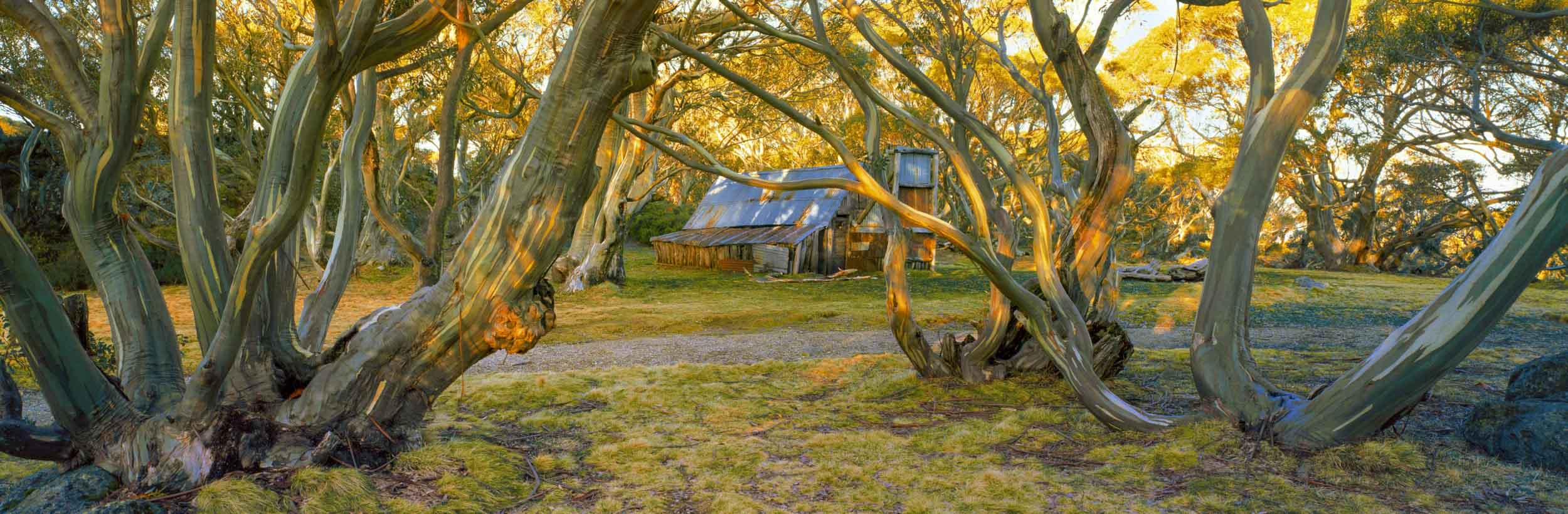 Stockman's Rest, Falls Creek, VIC