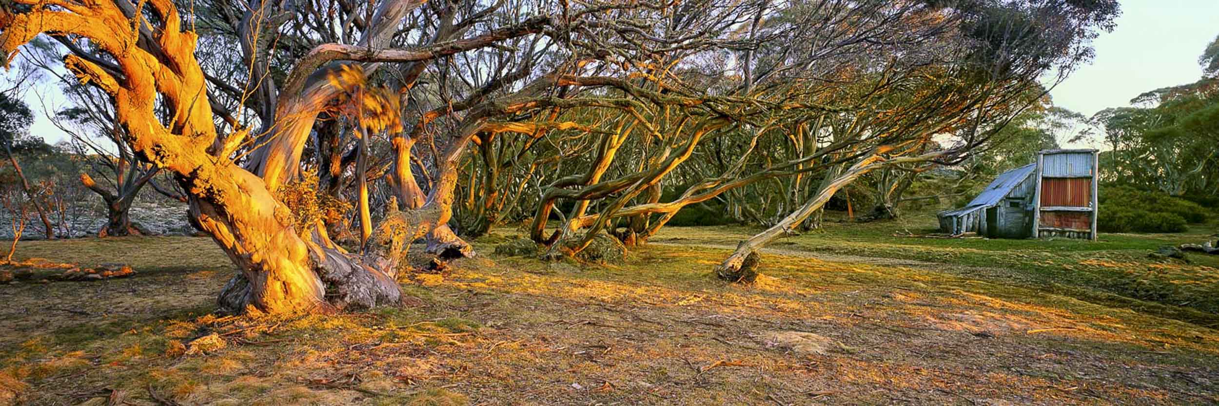 Wallace Hut, Falls Creek, VIC