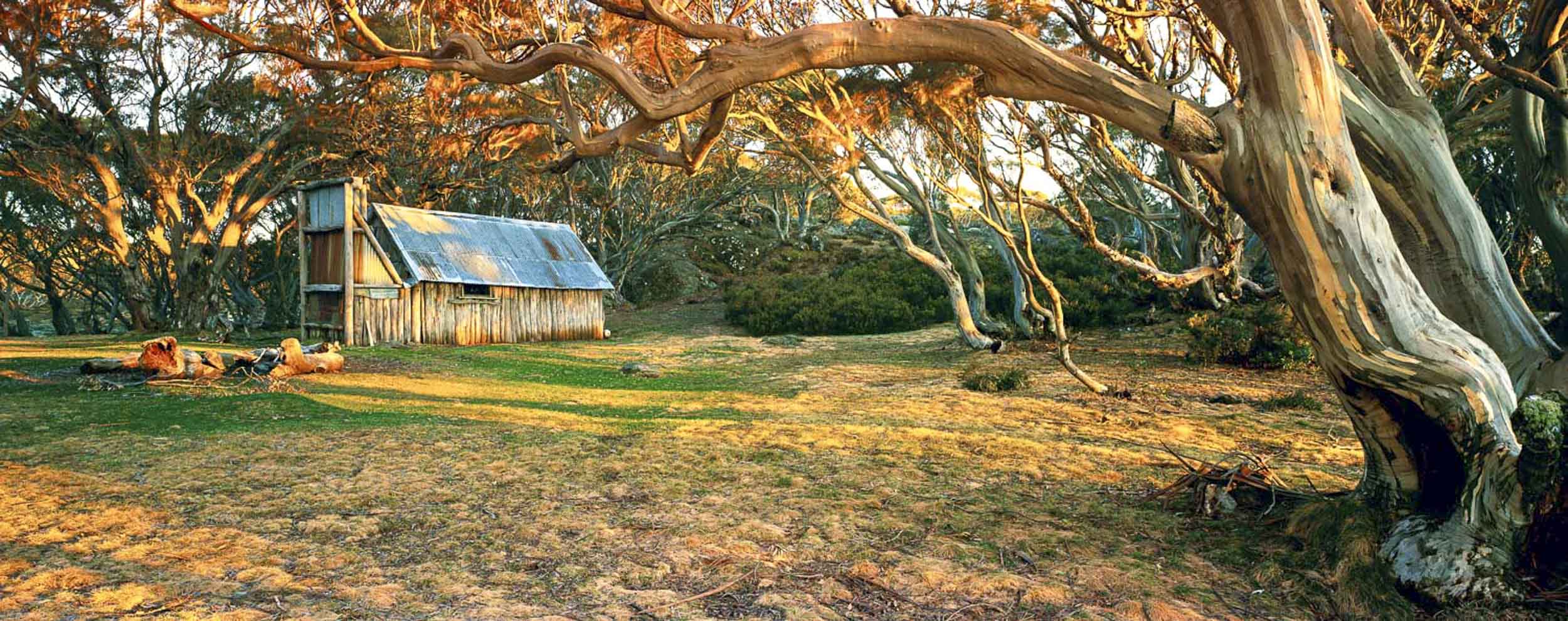 Wallace Hut, Falls Creek, Vic