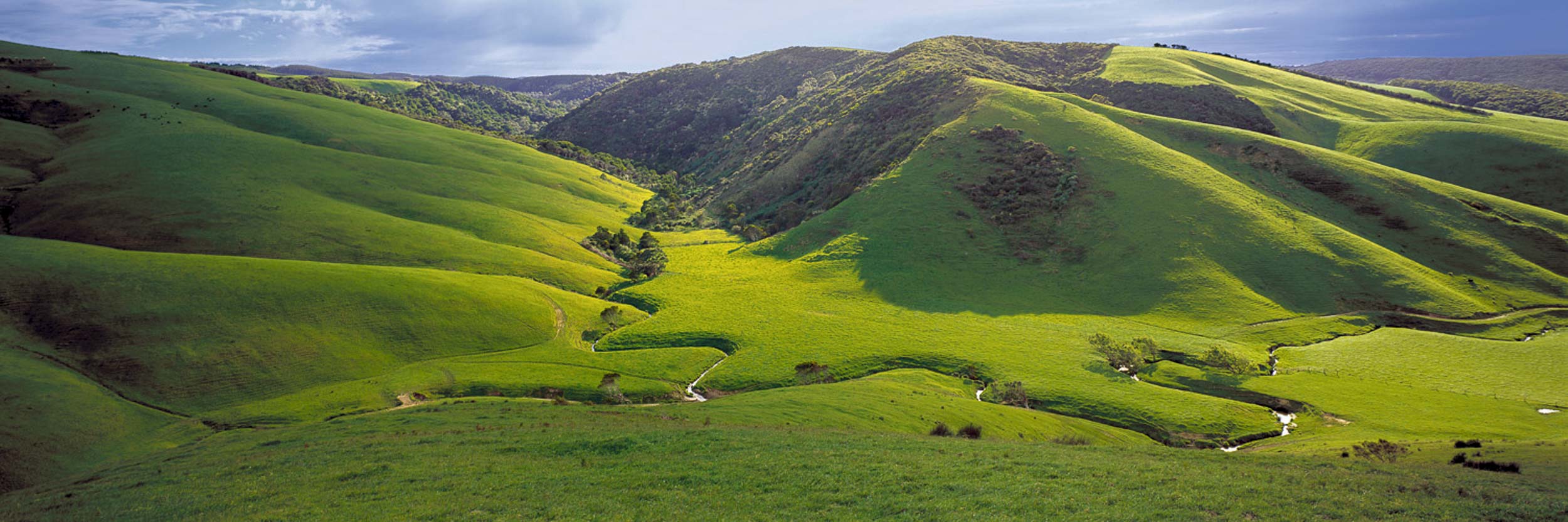 Rolling Hills, Johanna, VIC