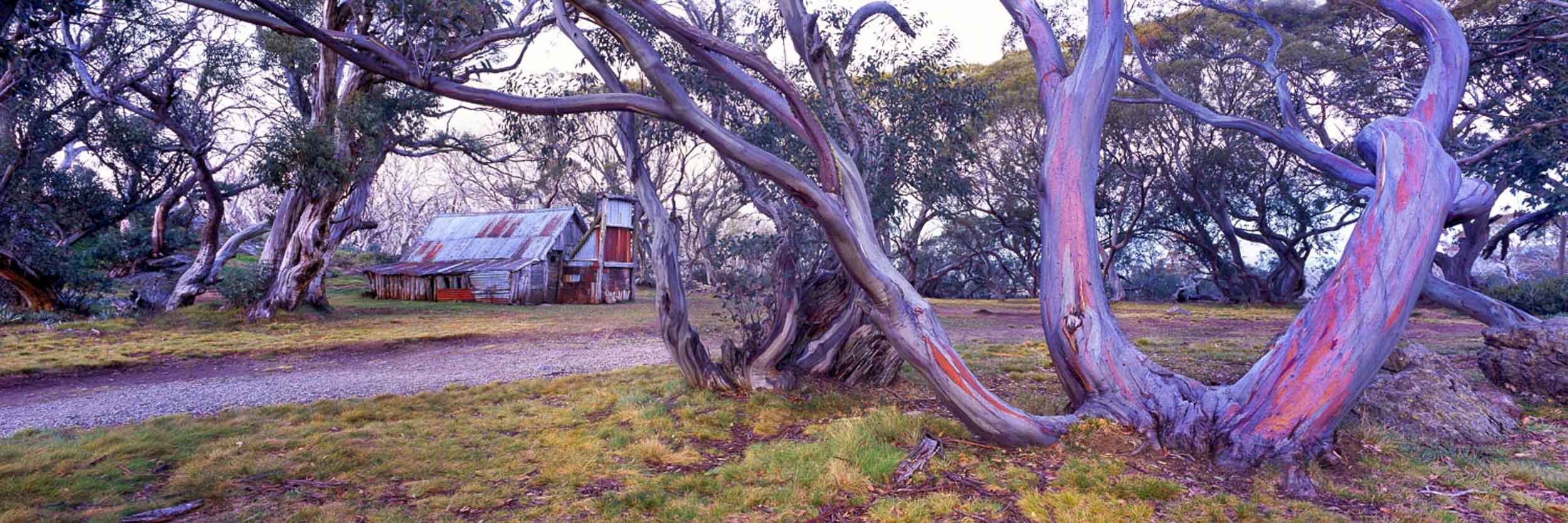 Snowy Mountain Shelter, VIC
