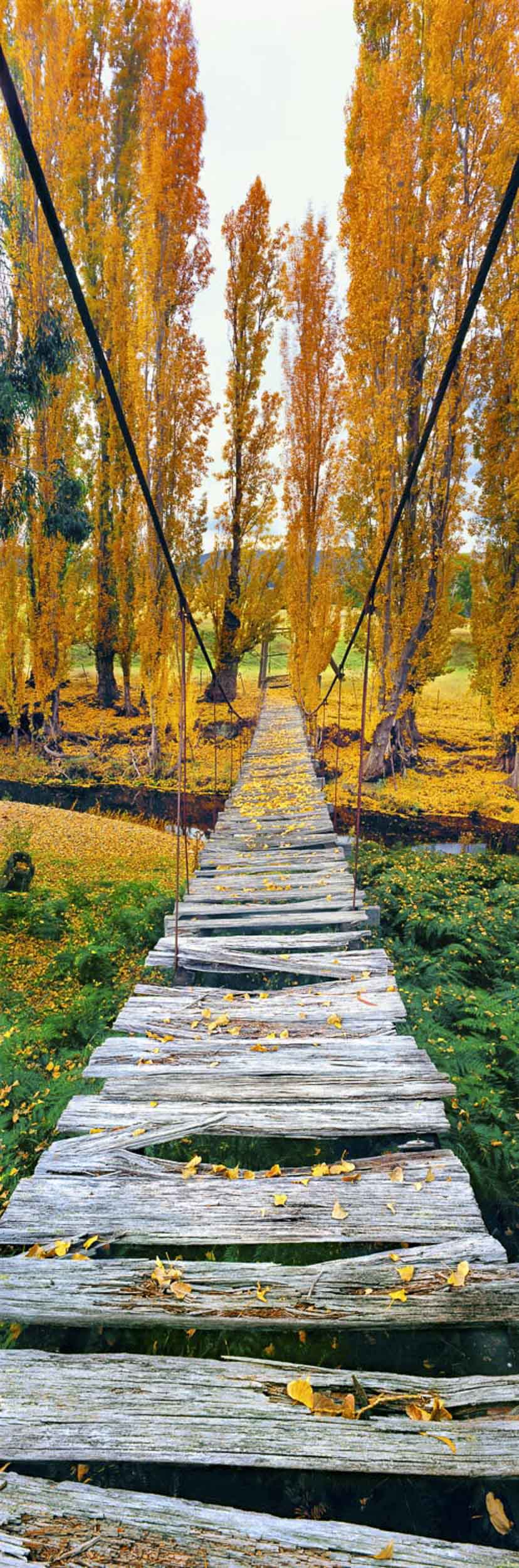 Tread Lightly, Omeo, VIC