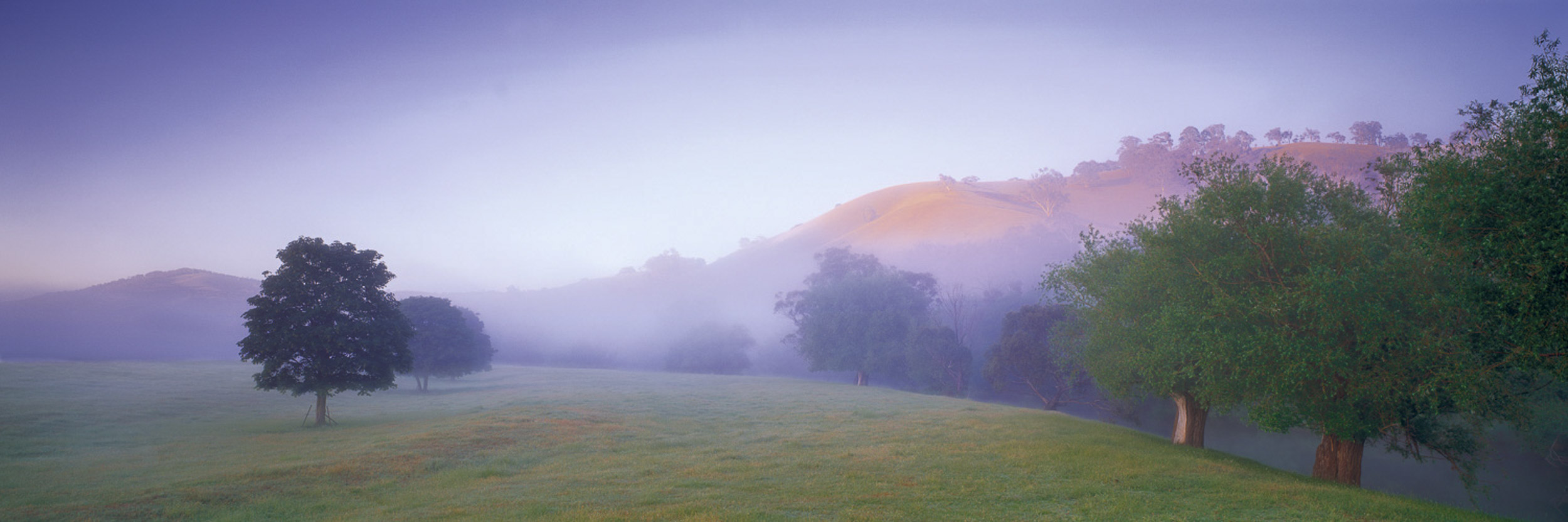 Valley Mist, Omeo, VIC