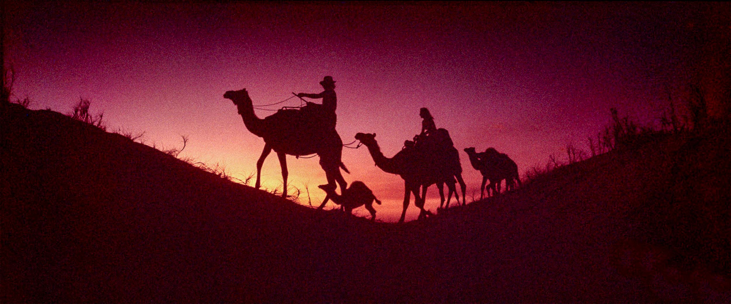 Camel Sunset, Cable Beach, Broome, WA