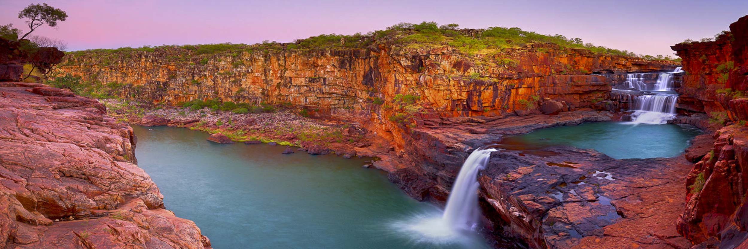 Rejuvenation, Punamii-Unpuu