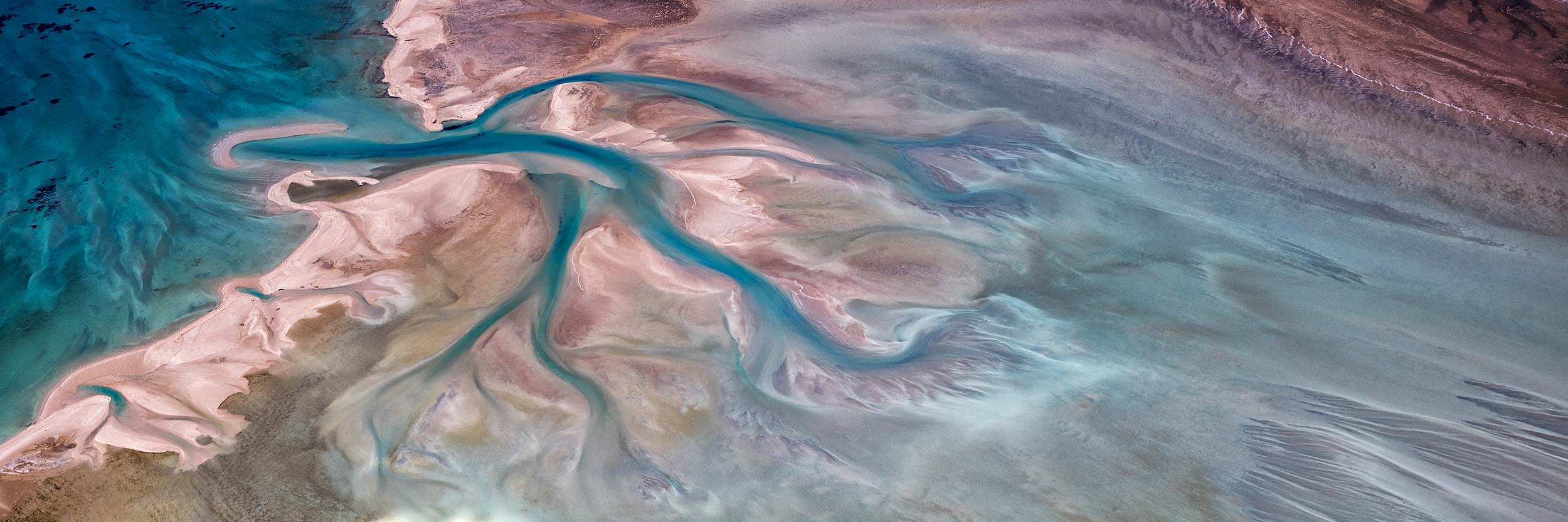 The Tree, Shark Bay, WA