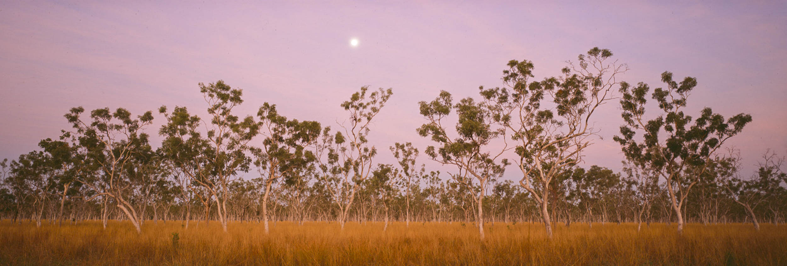 Full Moon, Kalumburu Country, WA