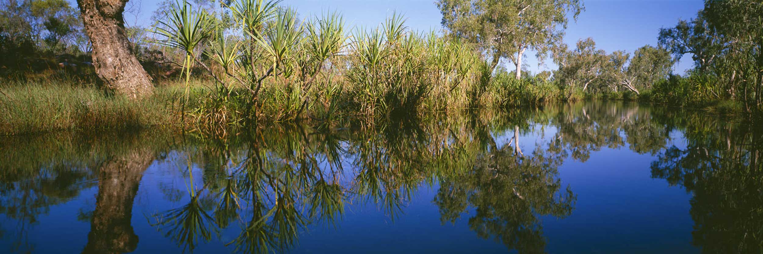 King Edward River Reflections, WA