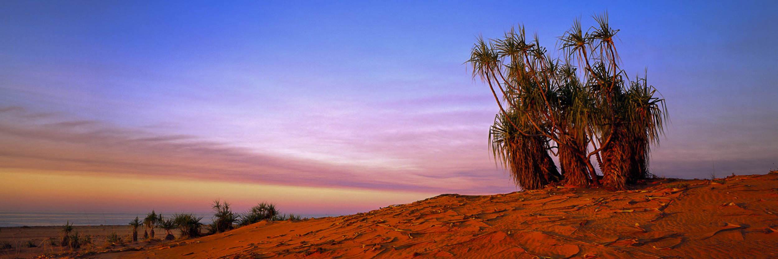Silent Sentinels, WA