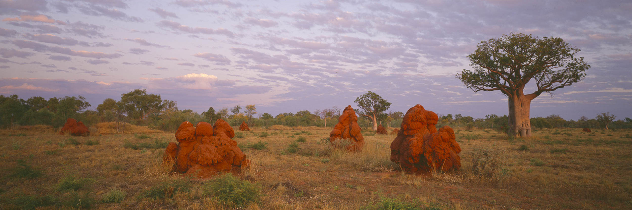Kimberley Country, WA
