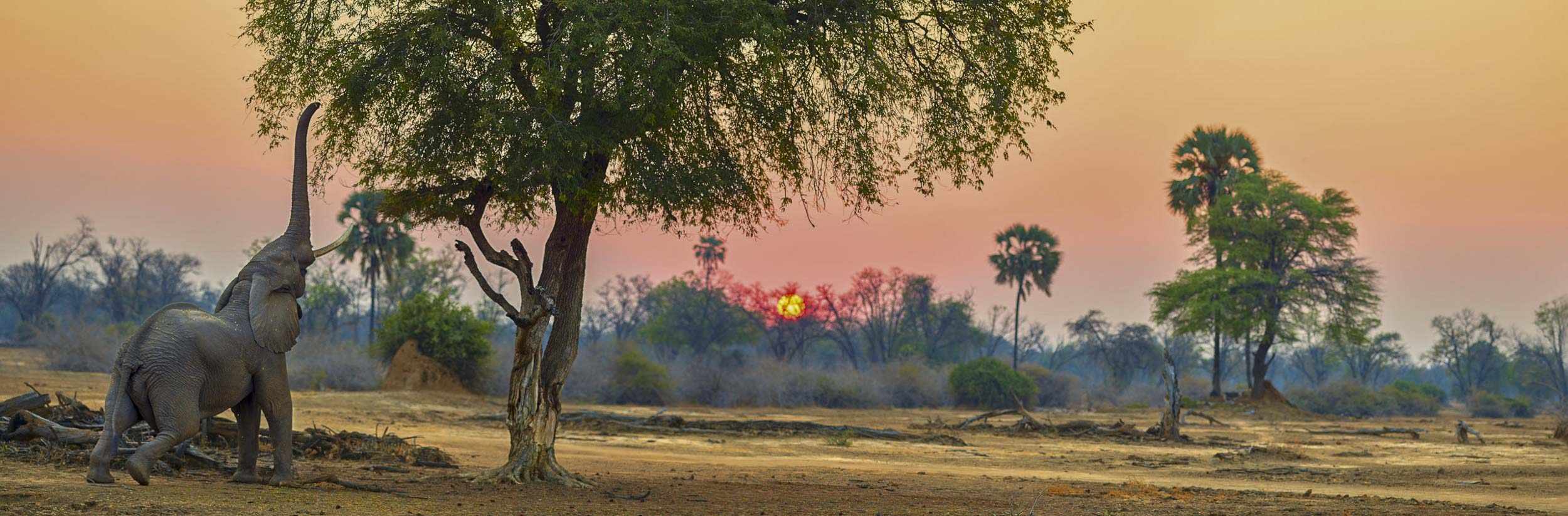 Today Is The Day, Zimbabwe
