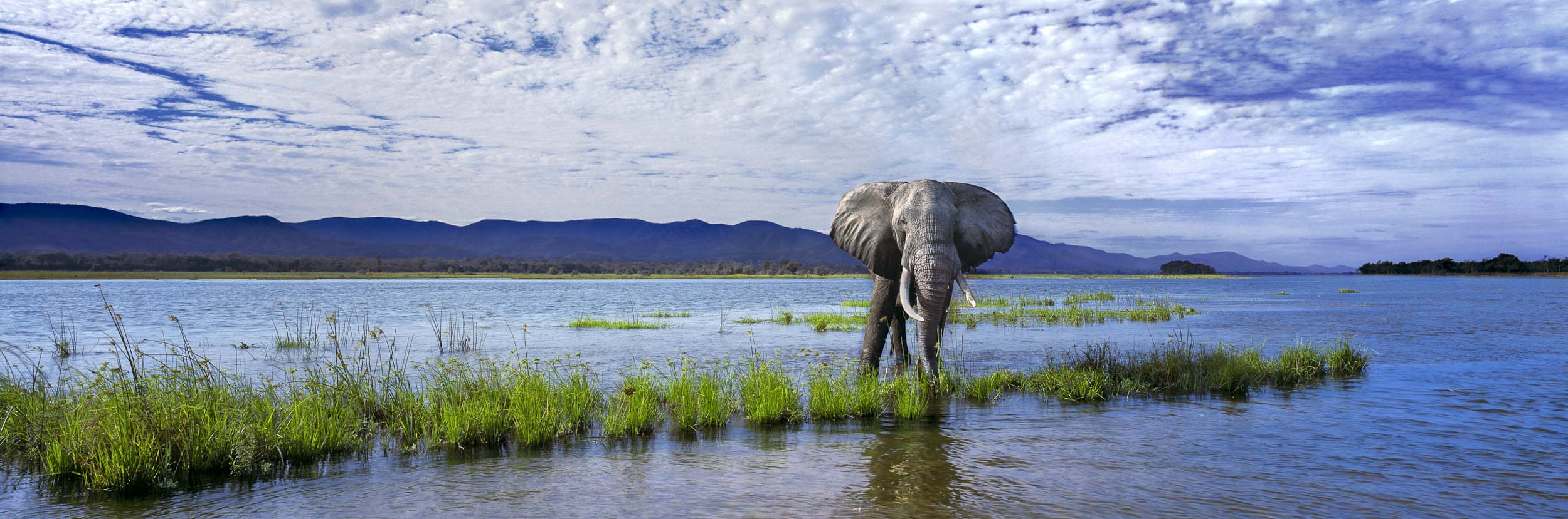 The Power Of One, Africa