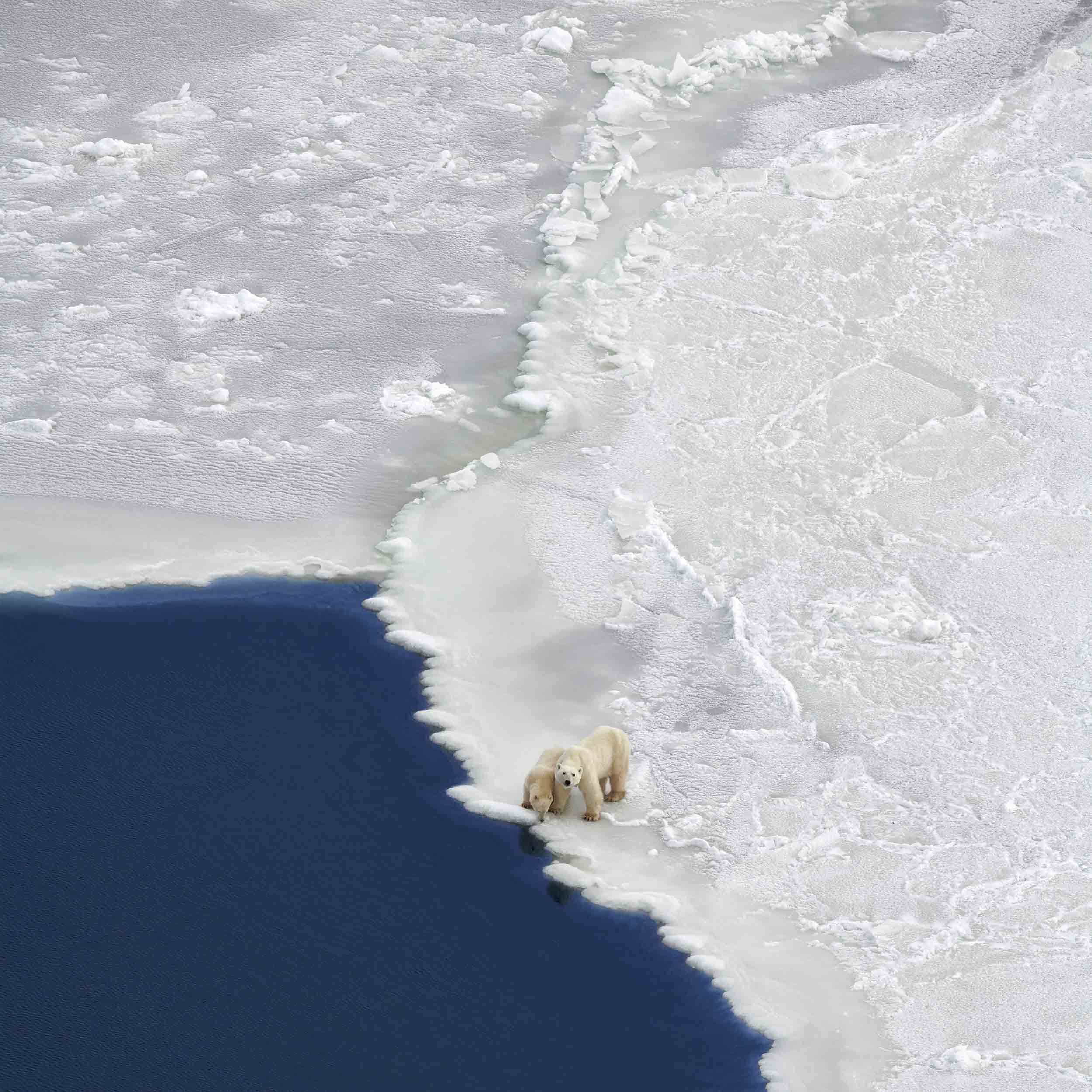 On The Edge