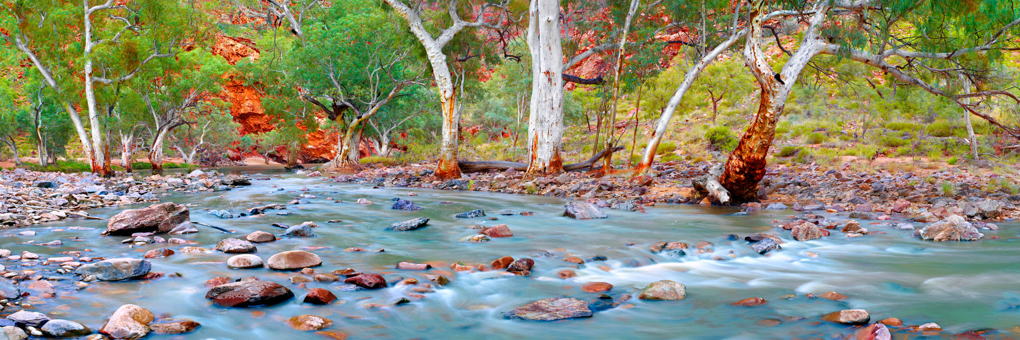 OUTBACK RENAISSANCE